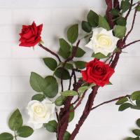 uploads/erp/collection/images/Home Garden/CongDing/XU0612413/img_b/XU0612413_img_b_3